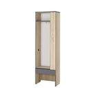 Шкаф 1 дверный с зеркалом Элоиза Дуб сонома/графит