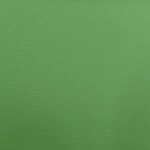 Шагус01:экокожа зеленый
